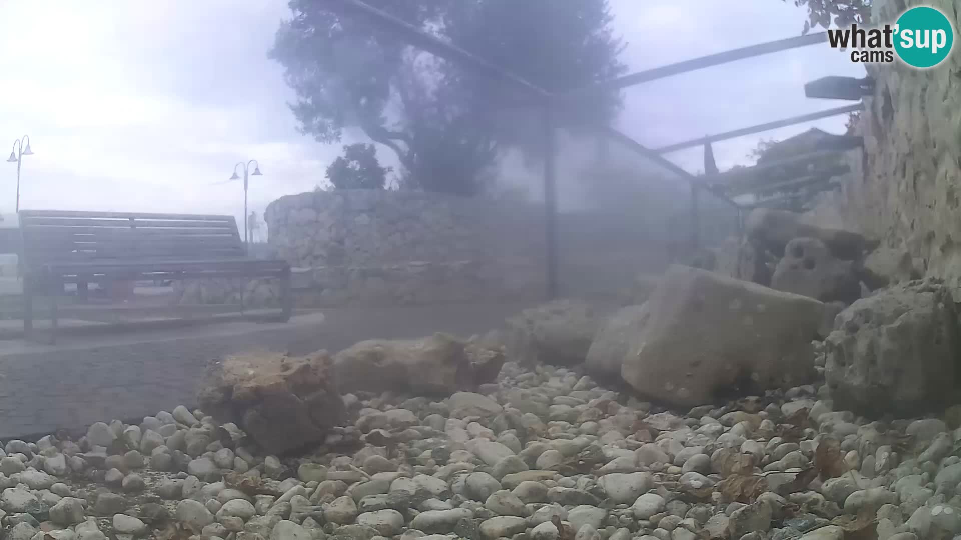 Zunanji morski akvarij Rogoznica spletna kamera Hrvaška