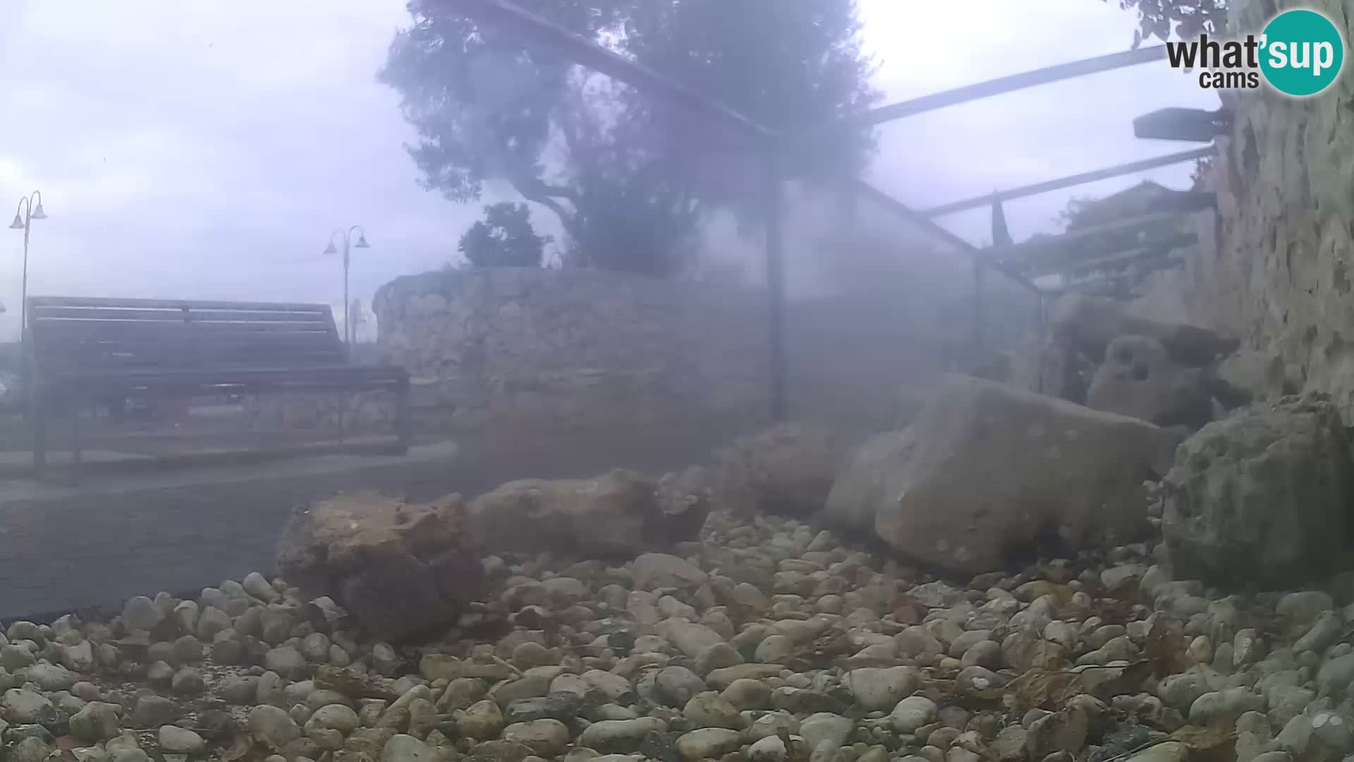 Aquario marino esterno –  Rogoznica livecam Croazia