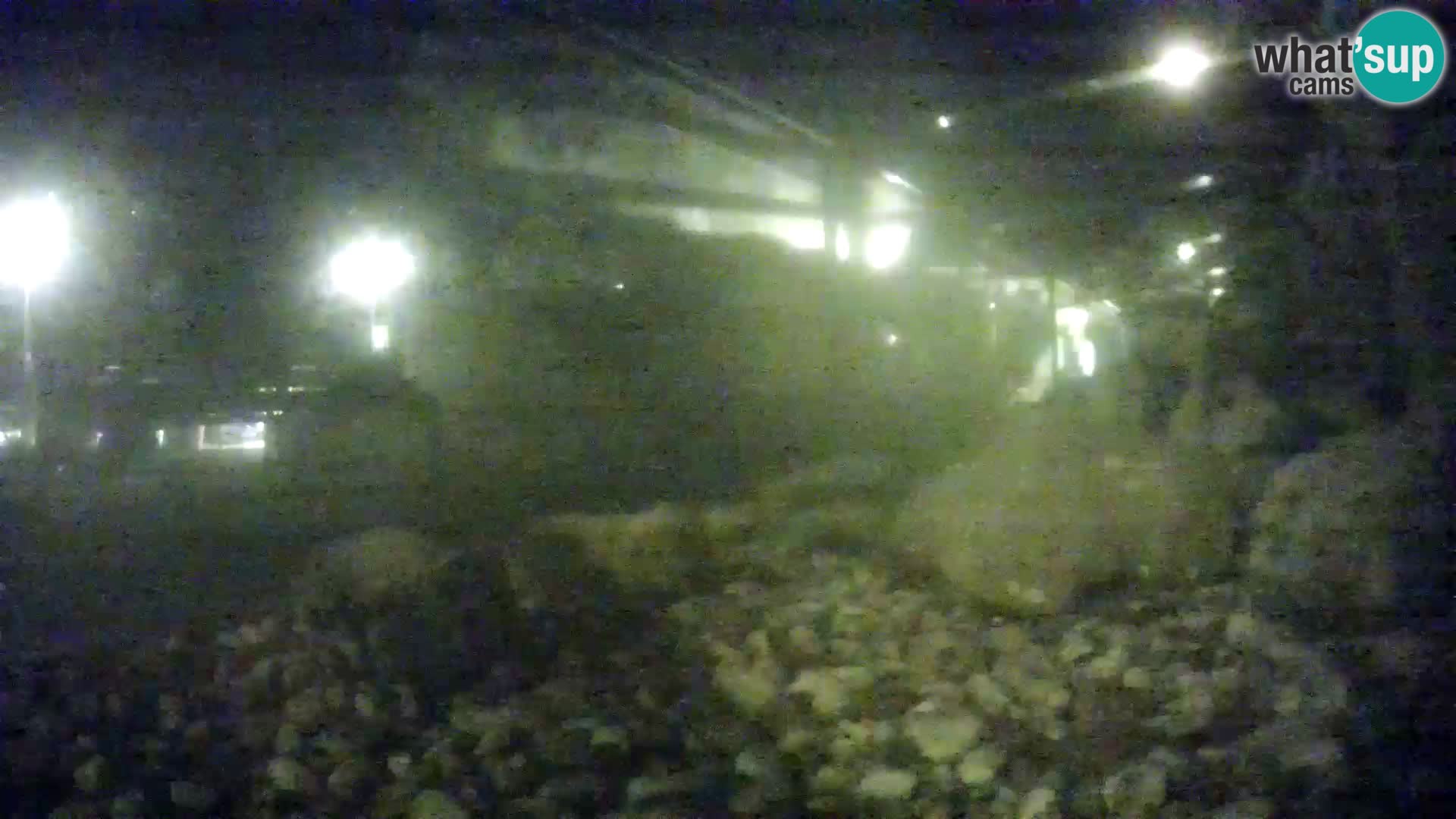 Acuario marino al aire libre Rogoznica webcam Croacia