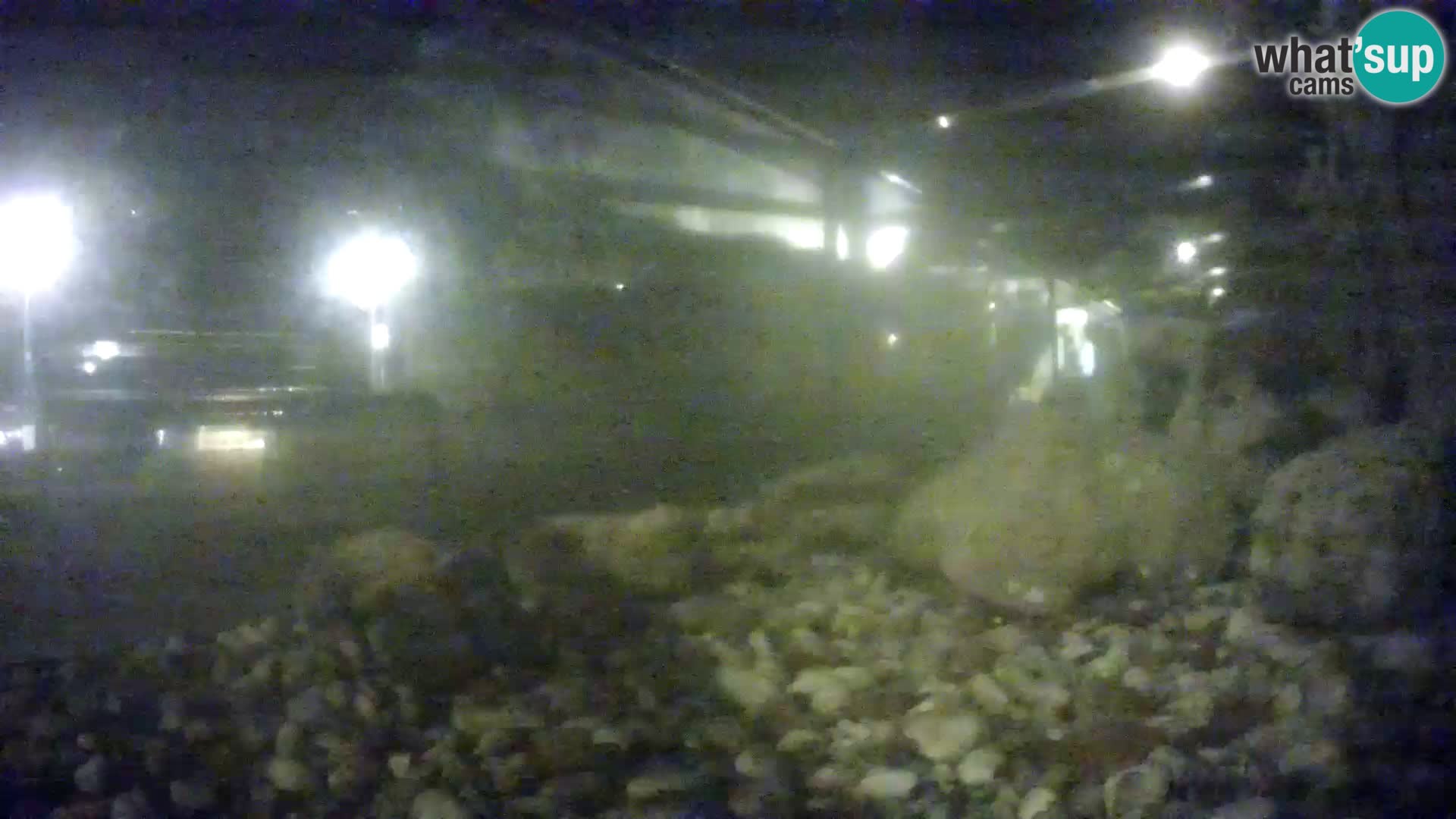 Aquario marino esterno –  Rogoznica livecam Croazia