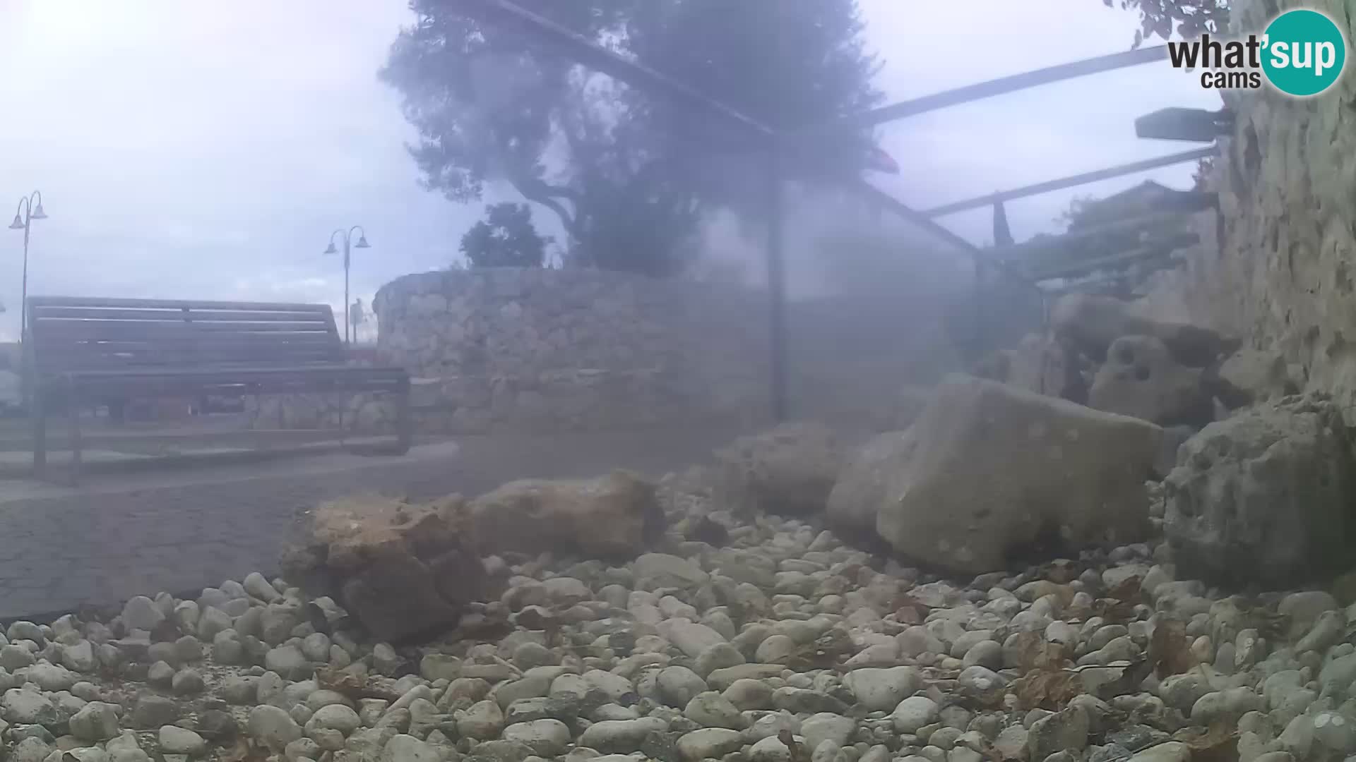 Acuario marino al aire libre Rogoznica webcam Croacia