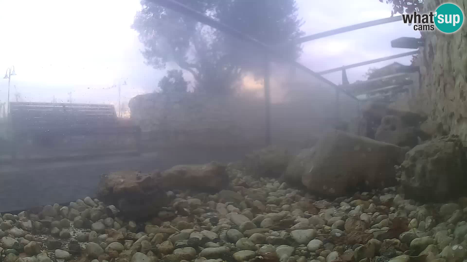Webcam de l’aquarium marin extérieur de Rogoznica Croatie