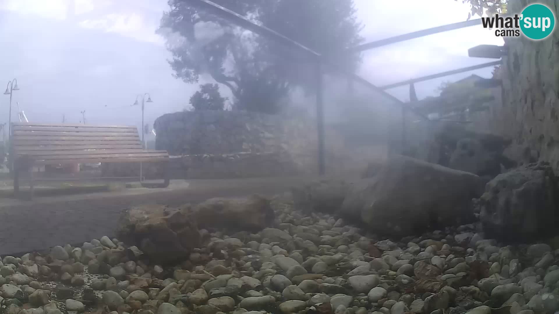Aquario marino esterno –  Rogoznica livecam Croazia