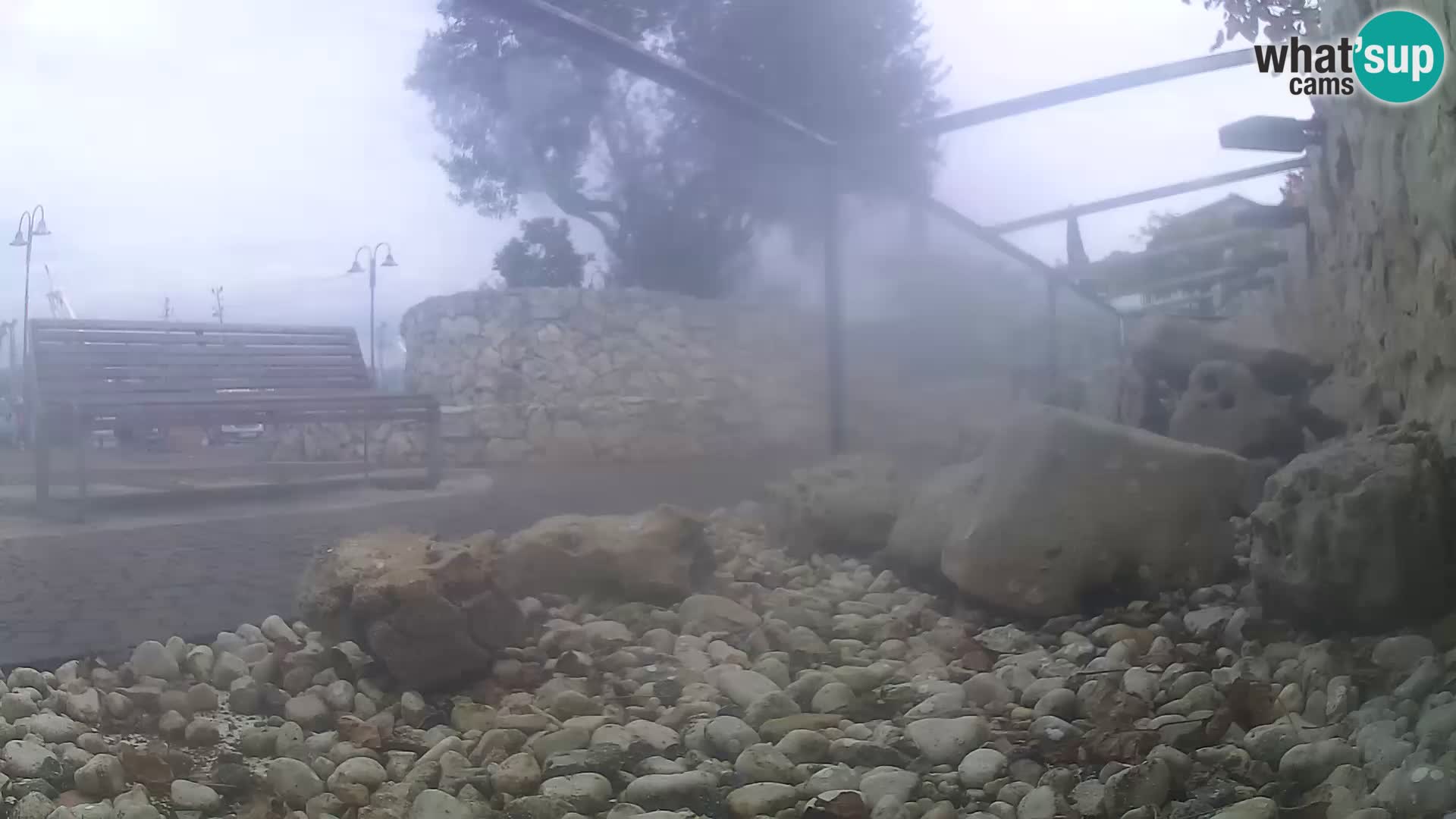 Zunanji morski akvarij Rogoznica spletna kamera Hrvaška