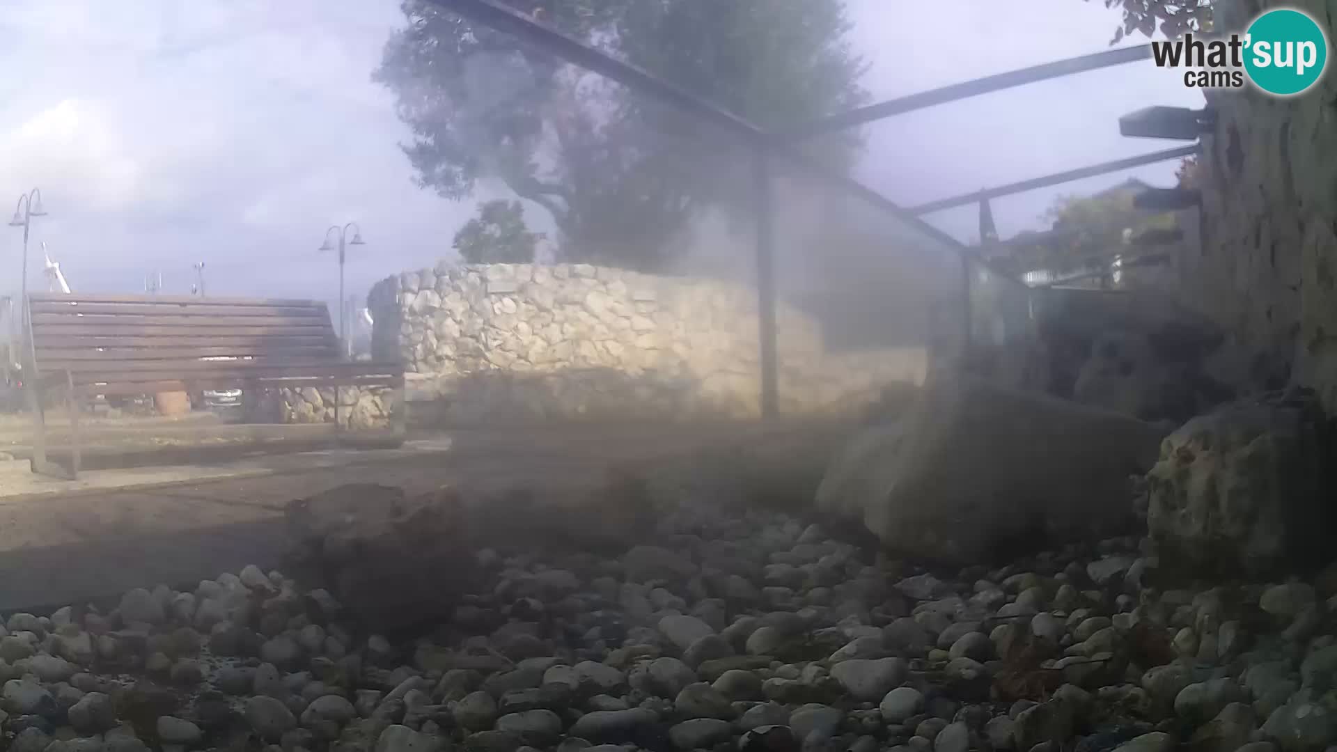 Acuario marino al aire libre Rogoznica webcam Croacia