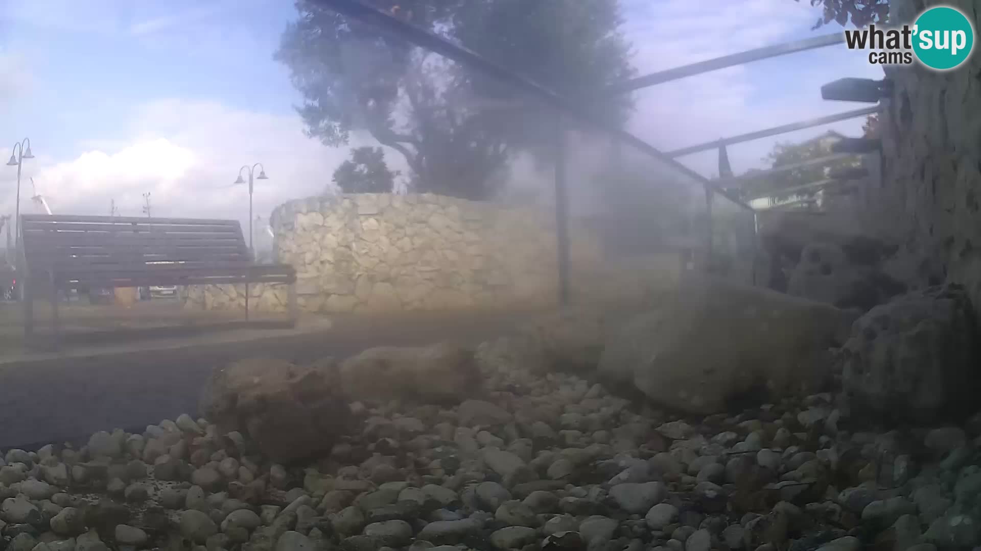 Zunanji morski akvarij Rogoznica spletna kamera Hrvaška