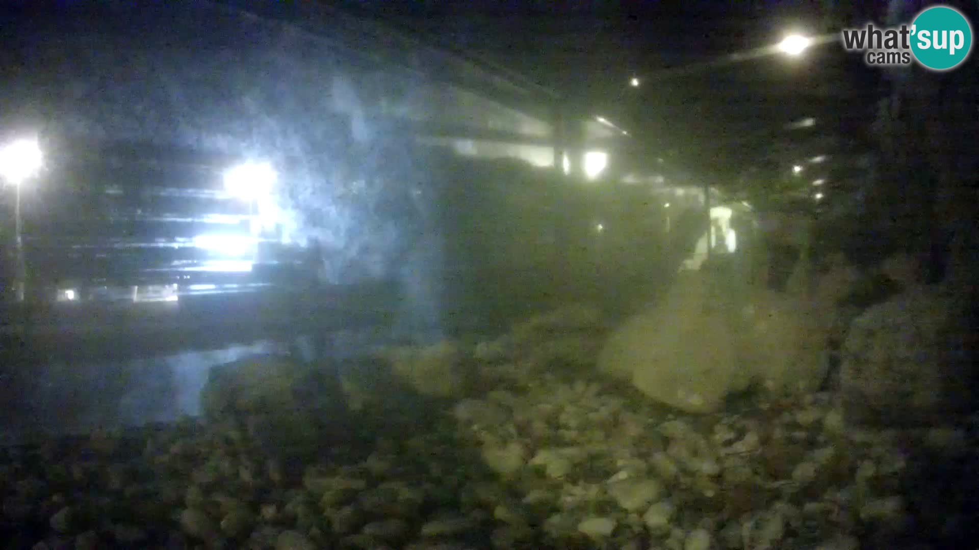 Acuario marino al aire libre Rogoznica webcam Croacia