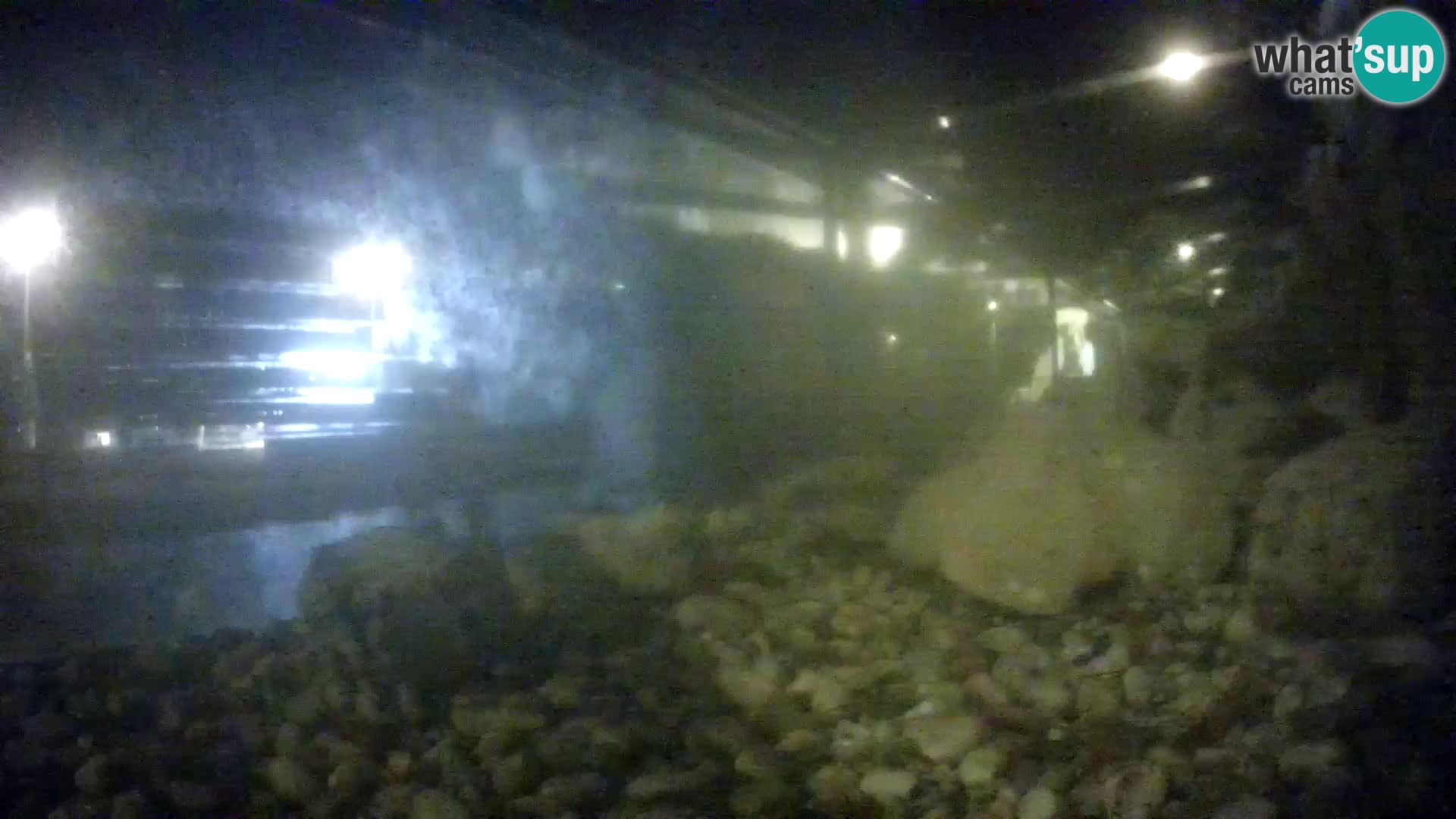 Outdoor Marine Aquarium Rogoznica webcam Croatia