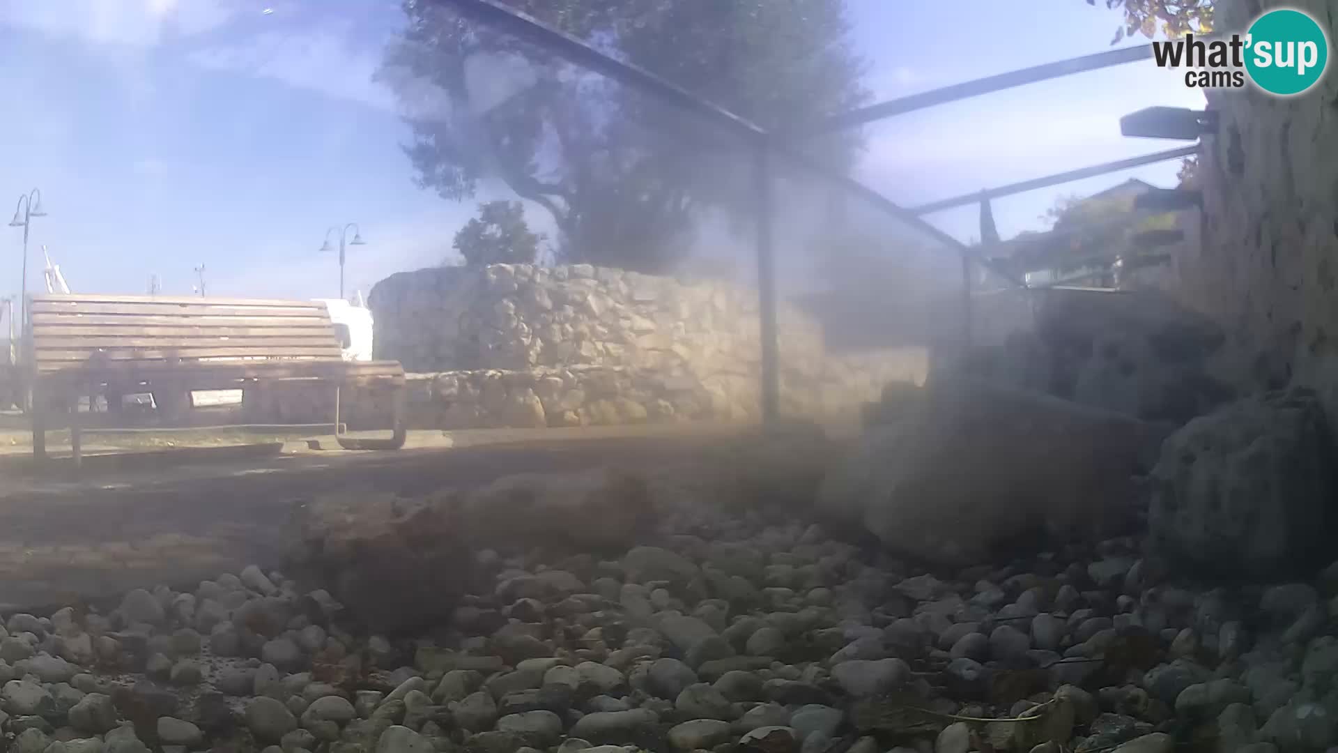 Aquario marino esterno –  Rogoznica livecam Croazia