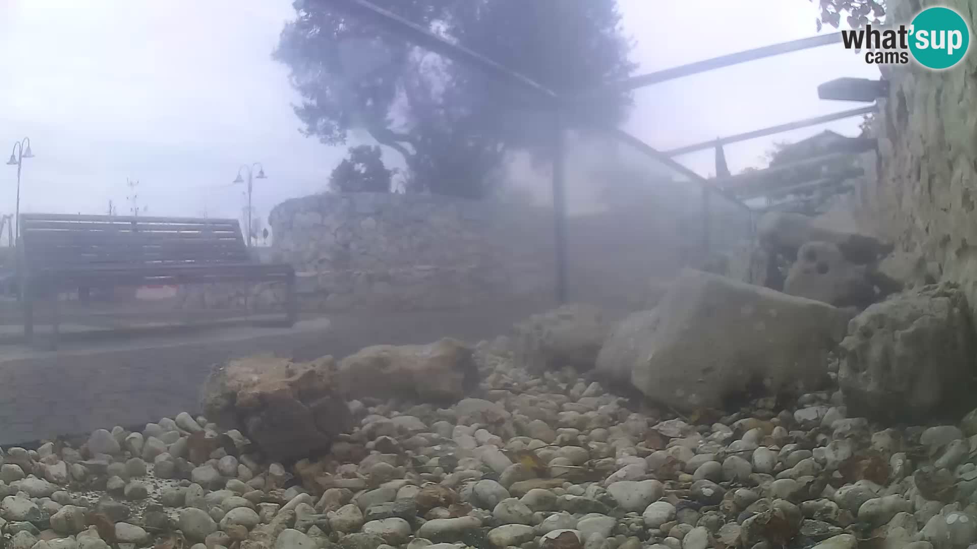 Aquario marino esterno –  Rogoznica livecam Croazia