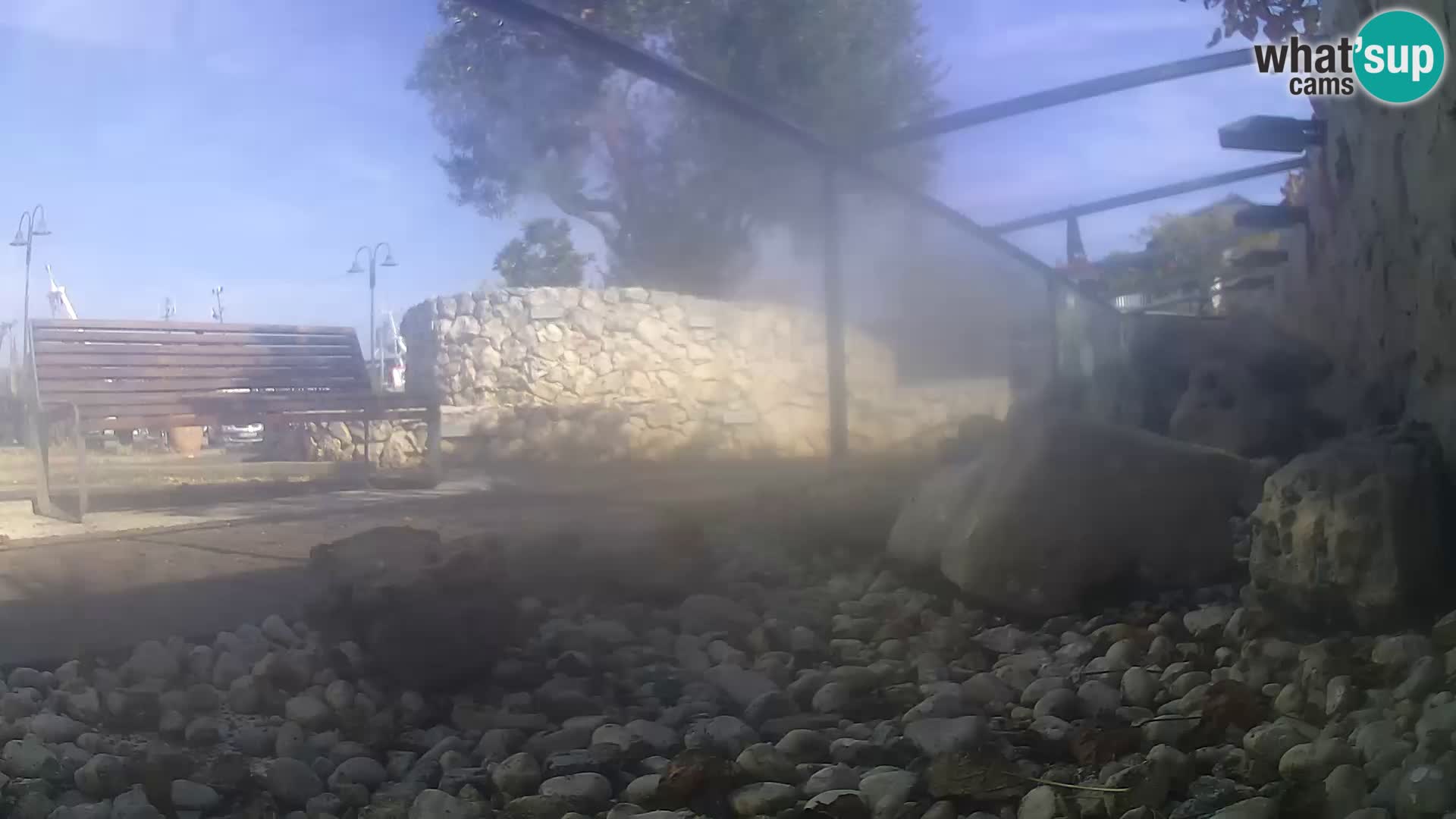Webcam de l’aquarium marin extérieur de Rogoznica Croatie