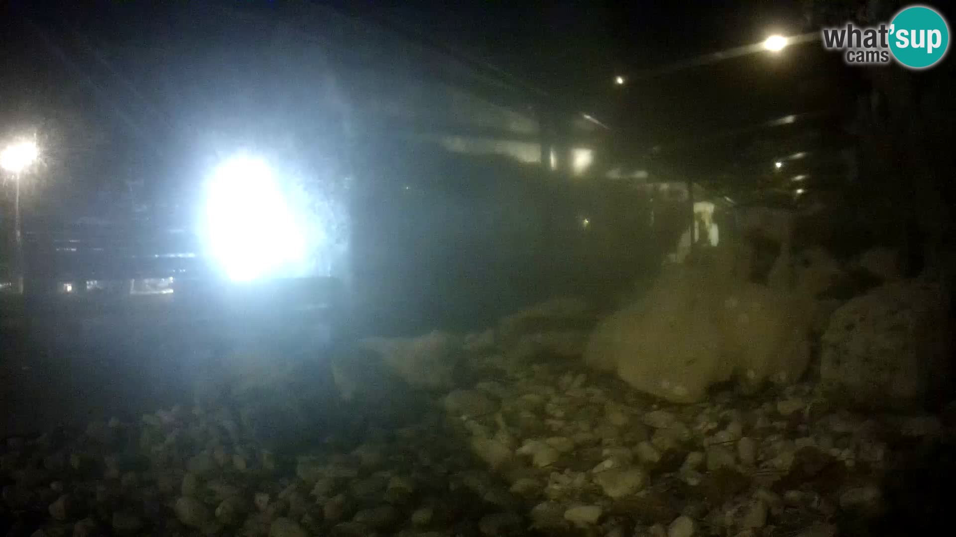 Aquario marino esterno –  Rogoznica livecam Croazia