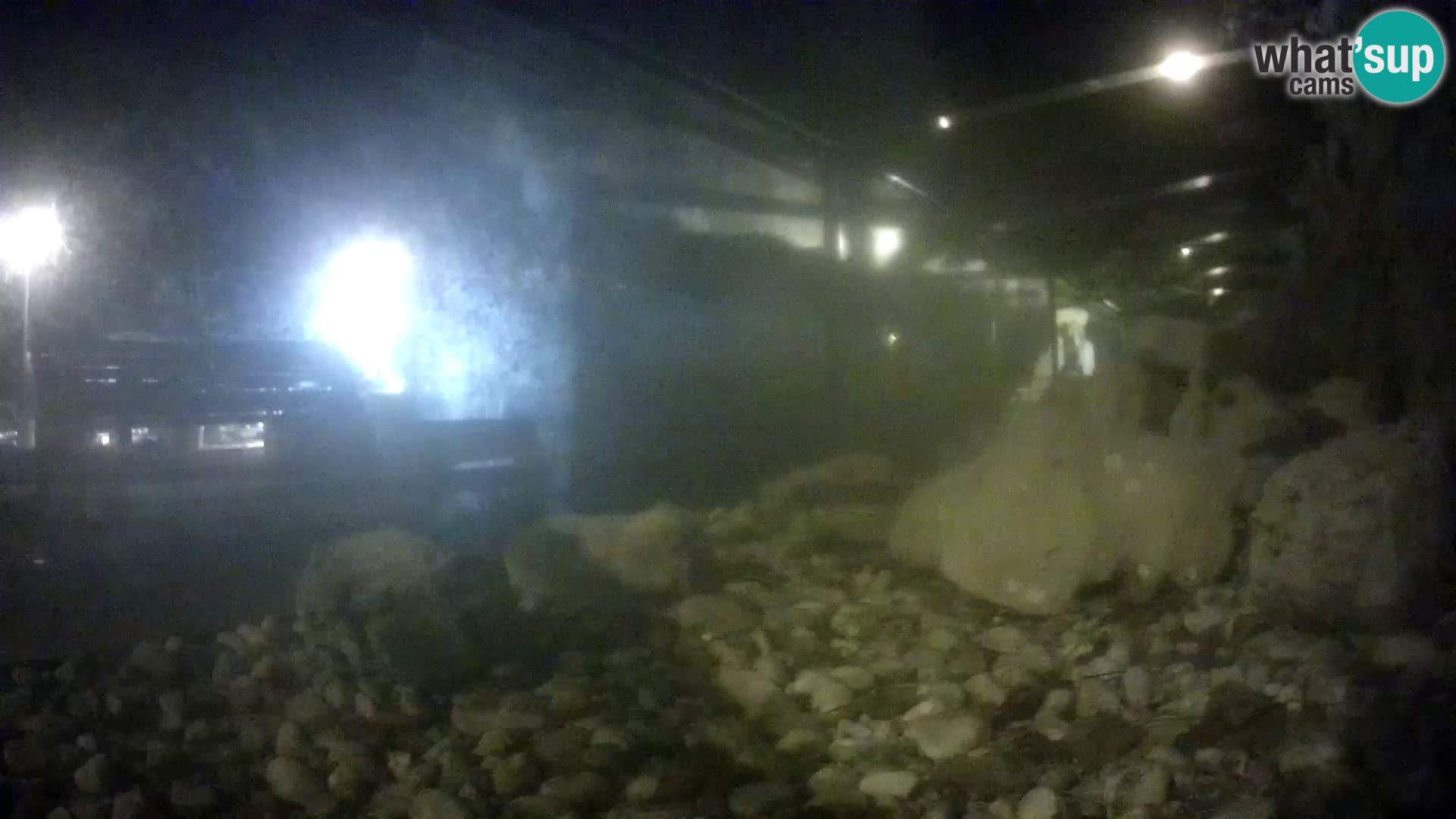 Aquario marino esterno –  Rogoznica livecam Croazia