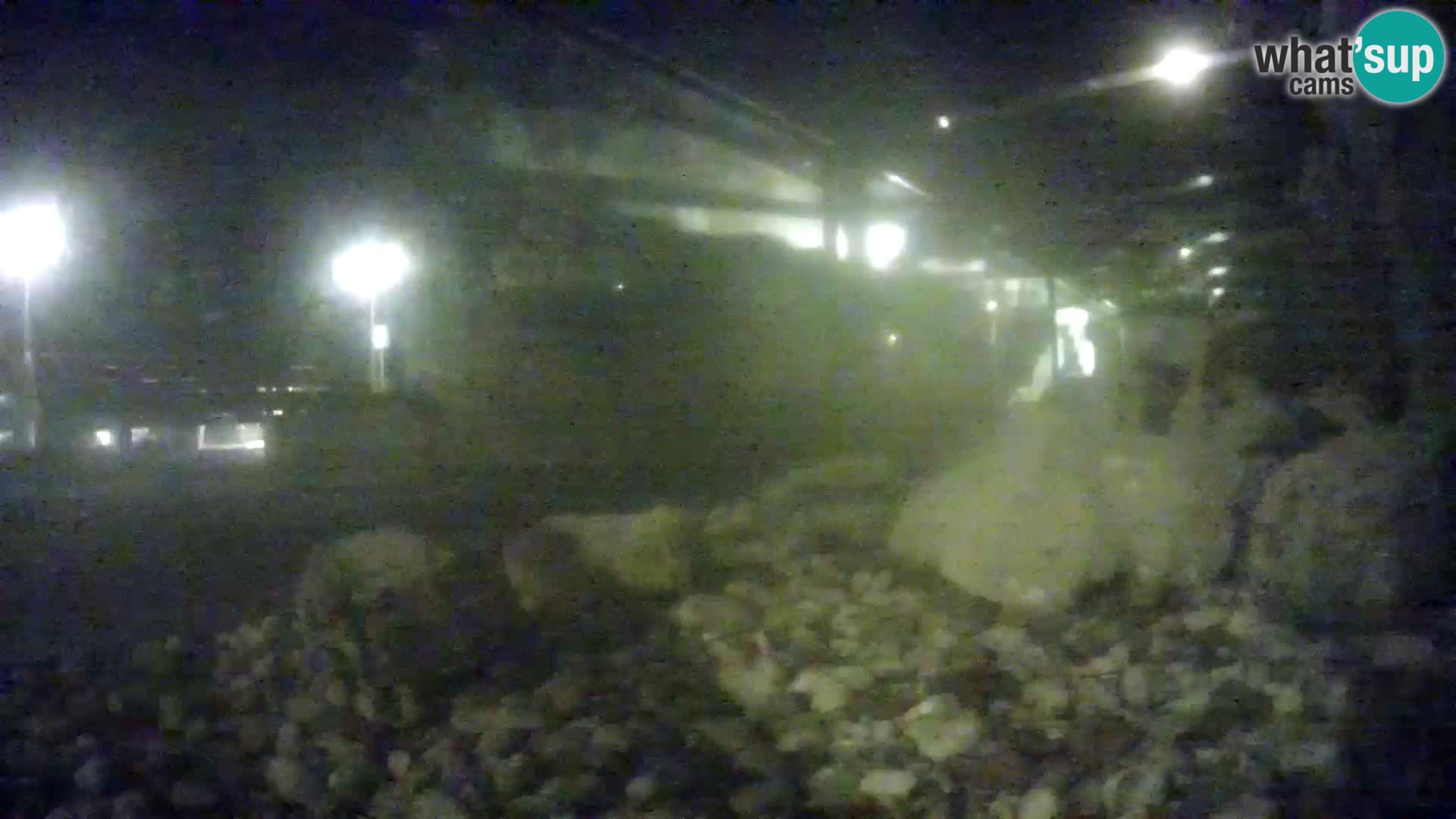 Acuario marino al aire libre Rogoznica webcam Croacia