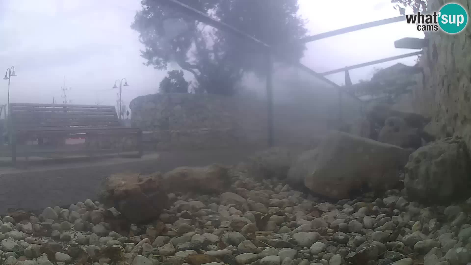 Zunanji morski akvarij Rogoznica spletna kamera Hrvaška