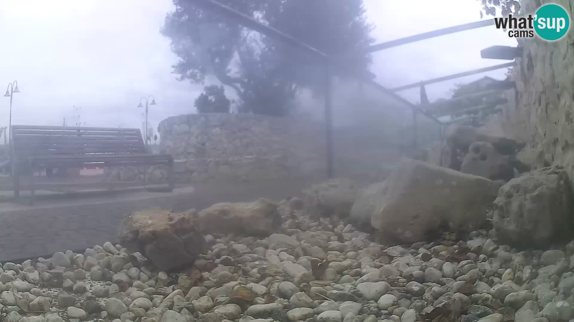 Acuario marino al aire libre Rogoznica webcam Croacia
