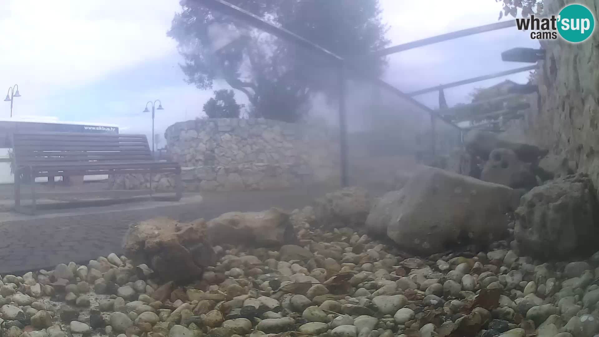Aquario marino esterno –  Rogoznica livecam Croazia
