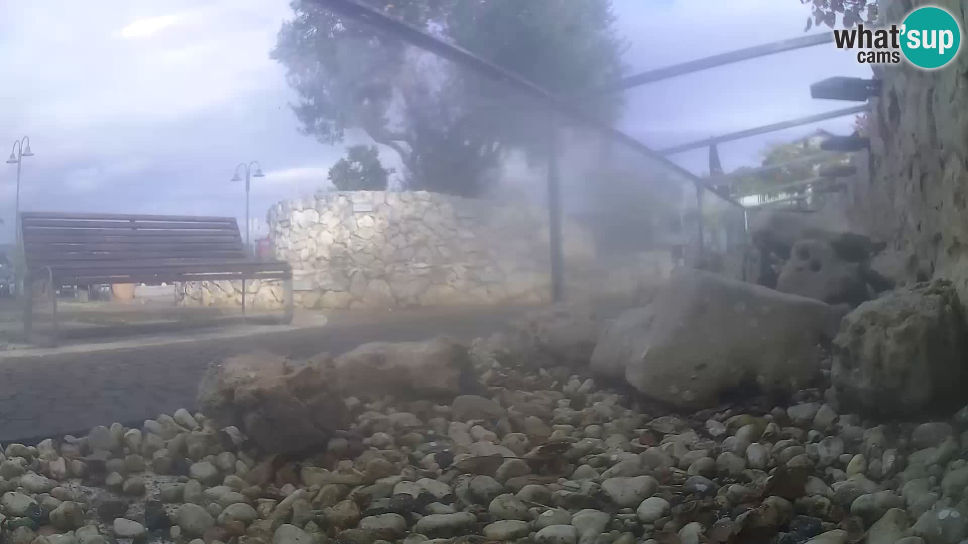 Vanjski morski akvarij Rogoznica web kamera Hrvatska