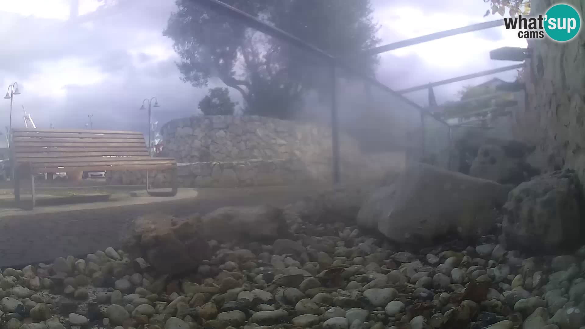 Zunanji morski akvarij Rogoznica spletna kamera Hrvaška