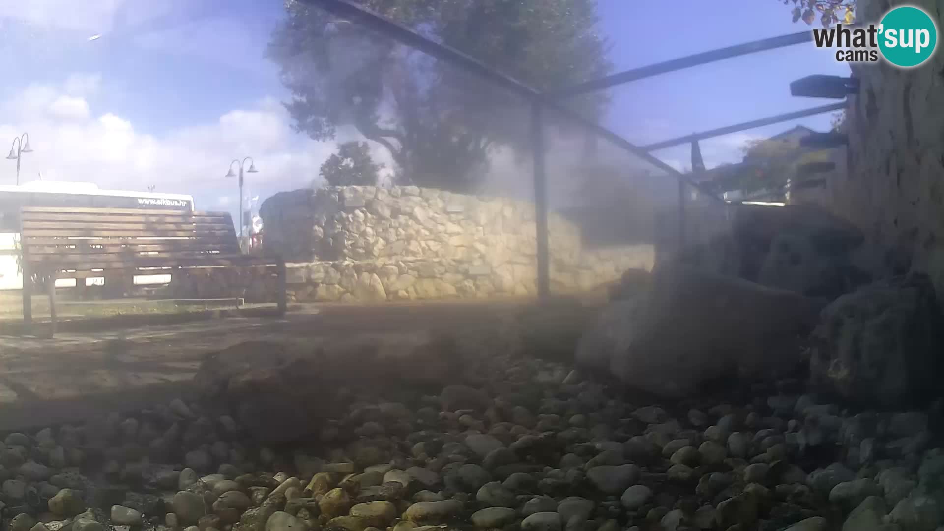 Zunanji morski akvarij Rogoznica spletna kamera Hrvaška