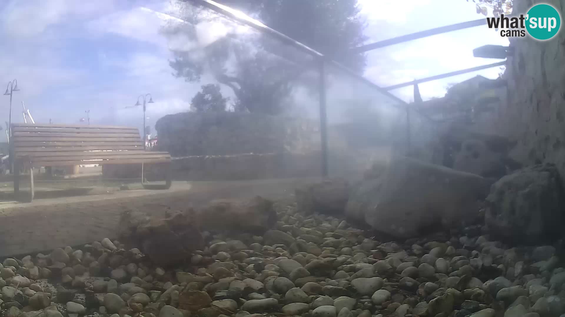 Outdoor Marine Aquarium Rogoznica webcam Croatia