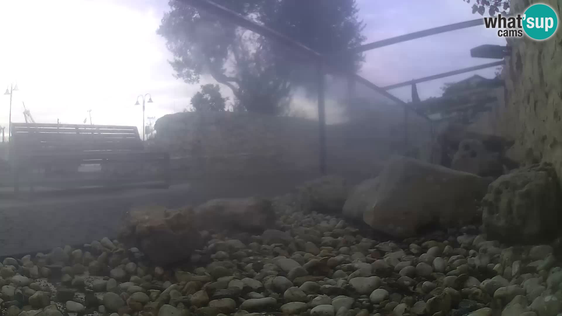 Aquario marino esterno –  Rogoznica livecam Croazia