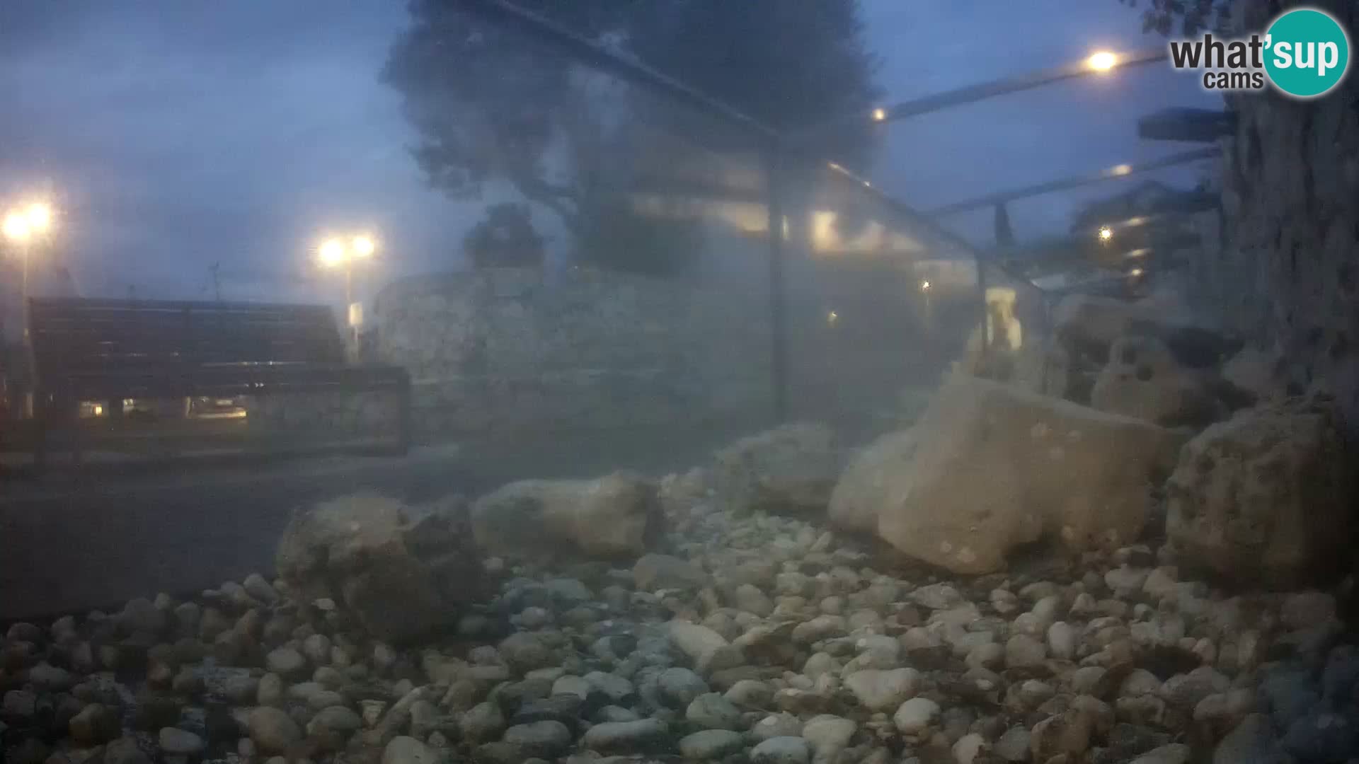 Zunanji morski akvarij Rogoznica spletna kamera Hrvaška