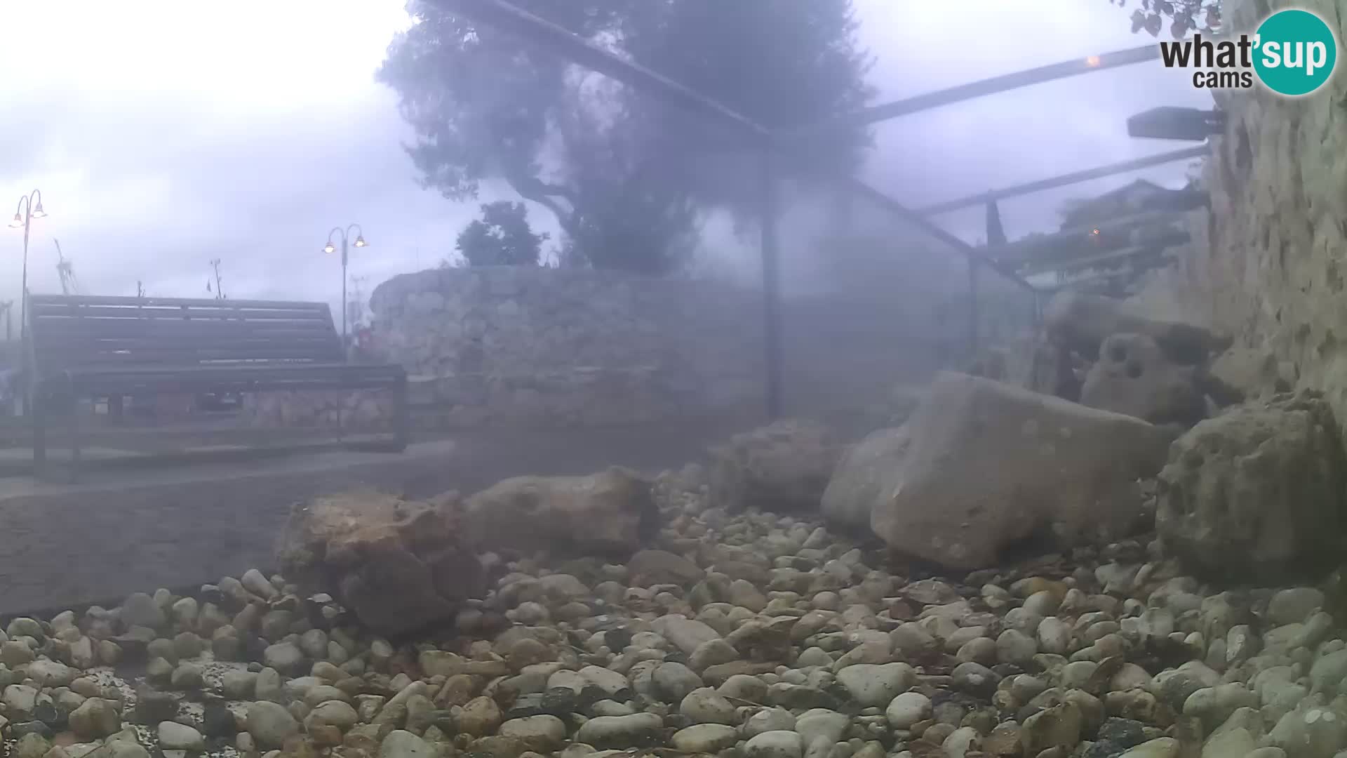 Zunanji morski akvarij Rogoznica spletna kamera Hrvaška
