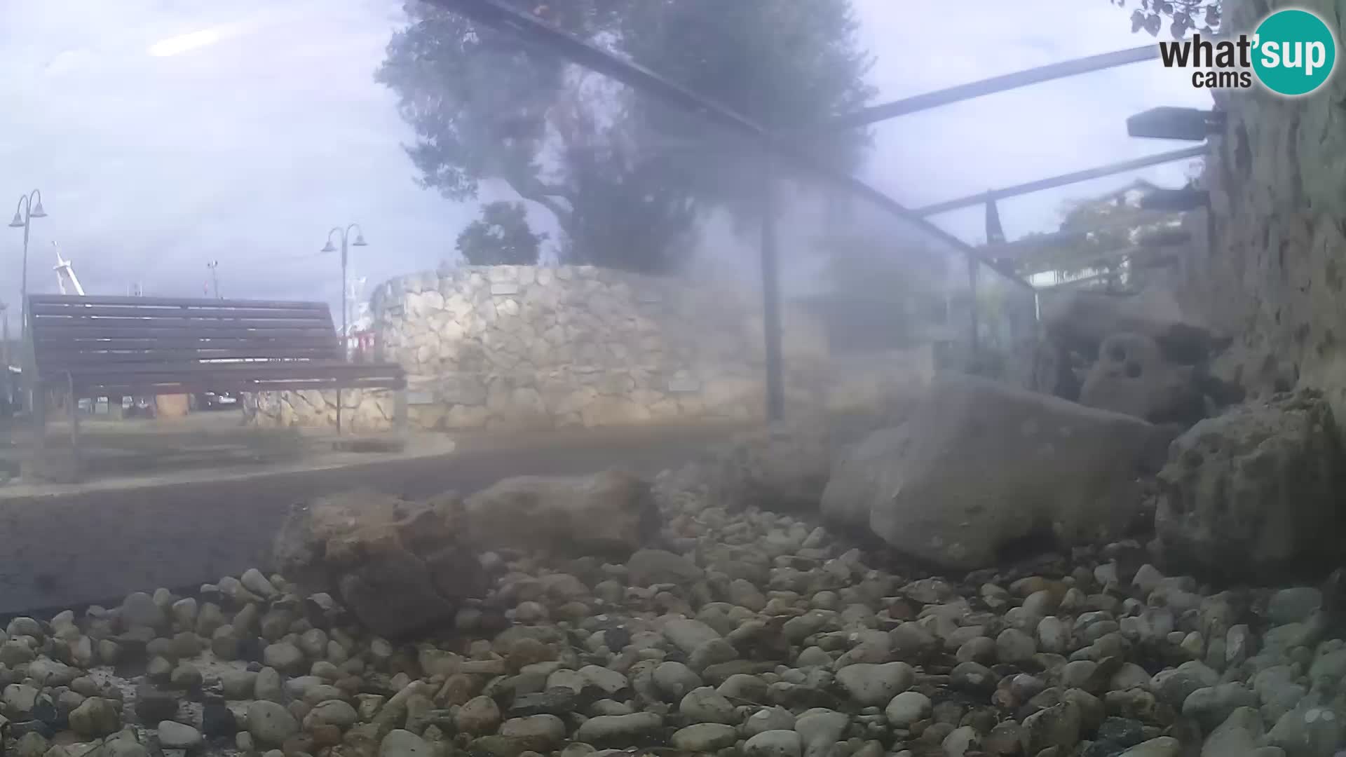 Outdoor Marine Aquarium Rogoznica webcam Croatia