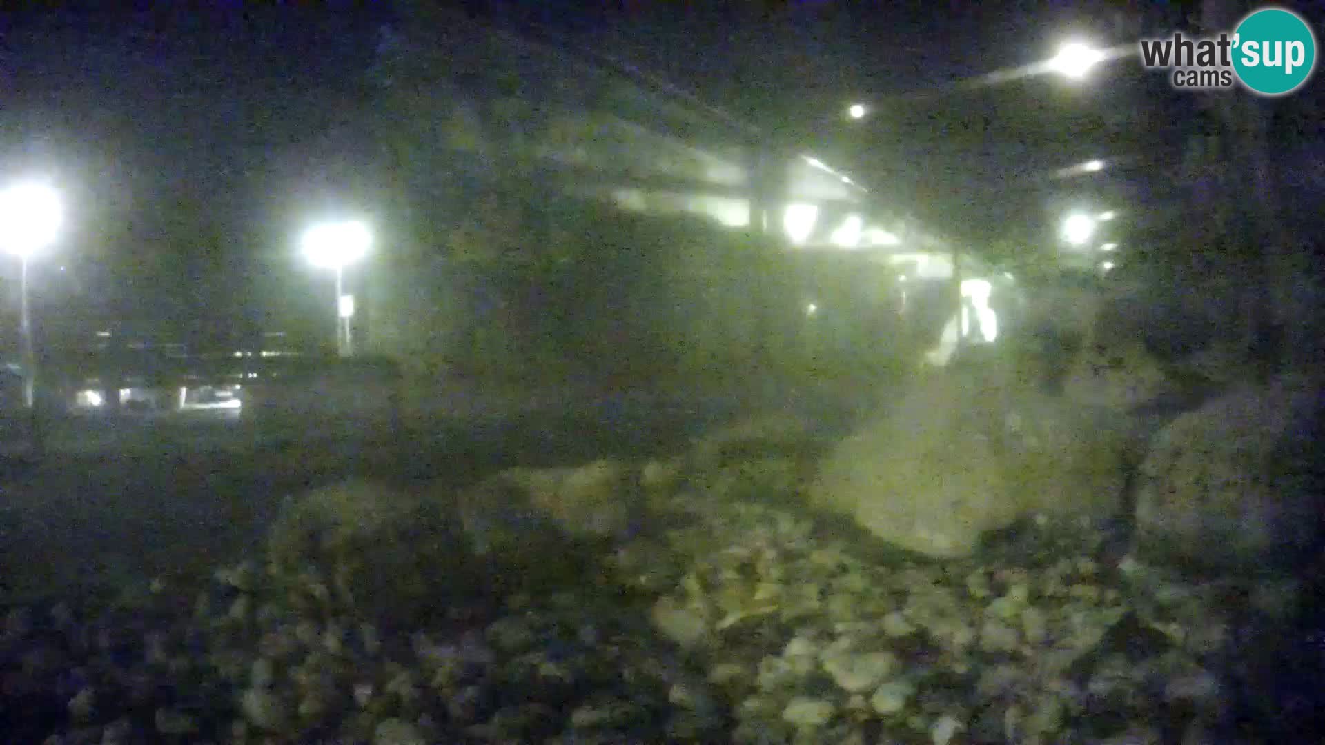 Acuario marino al aire libre Rogoznica webcam Croacia