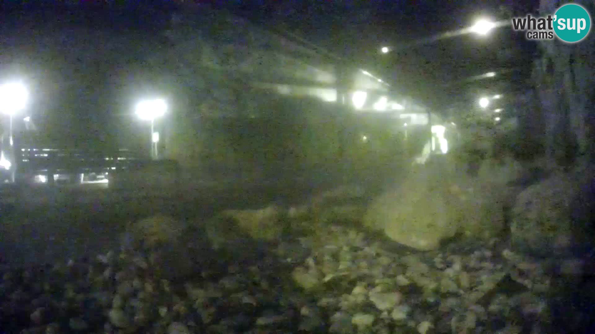 Marine Aquarium im Freien Rogoznica webcam Kroatien