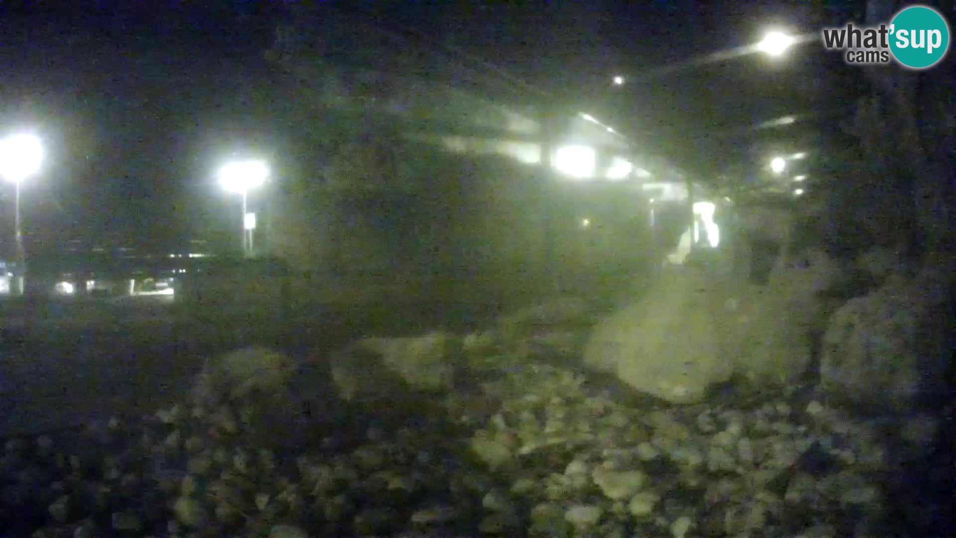 Acuario marino al aire libre Rogoznica webcam Croacia