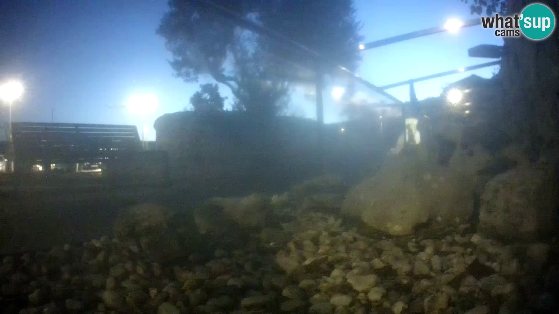 Webcam de l’aquarium marin extérieur de Rogoznica Croatie