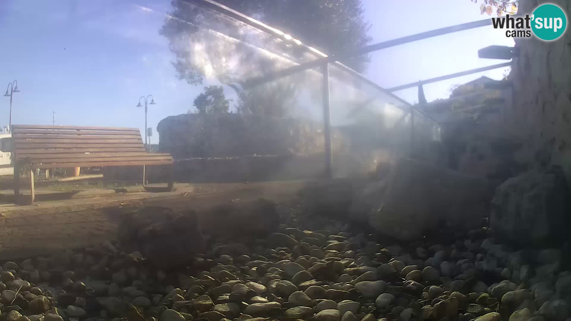 Outdoor Marine Aquarium Rogoznica webcam Croatia