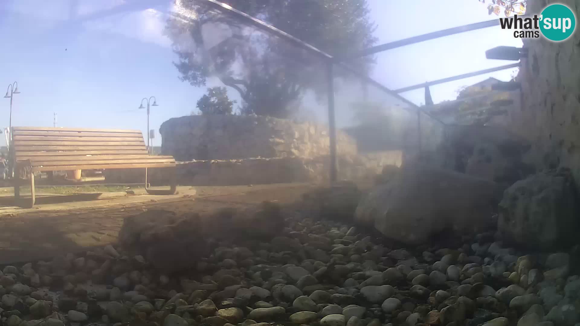 Outdoor Marine Aquarium Rogoznica webcam Croatia
