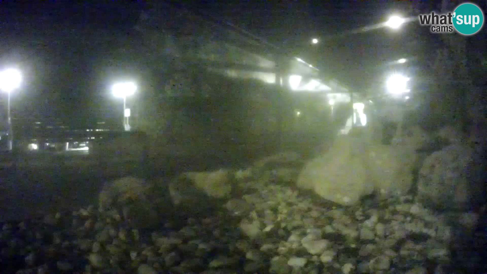 Aquario marino esterno –  Rogoznica livecam Croazia