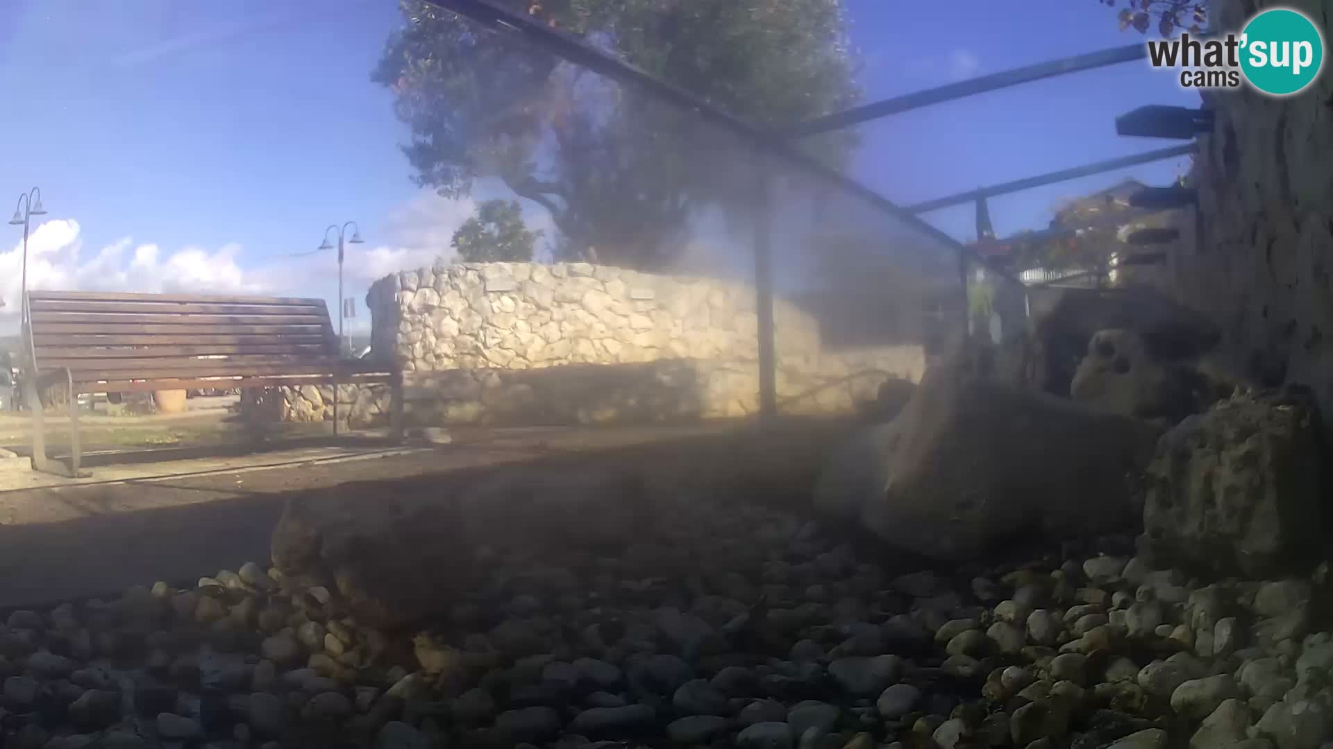 Webcam de l’aquarium marin extérieur de Rogoznica Croatie