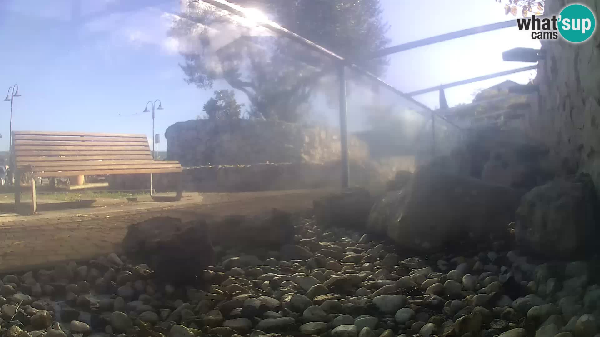 Acuario marino al aire libre Rogoznica webcam Croacia