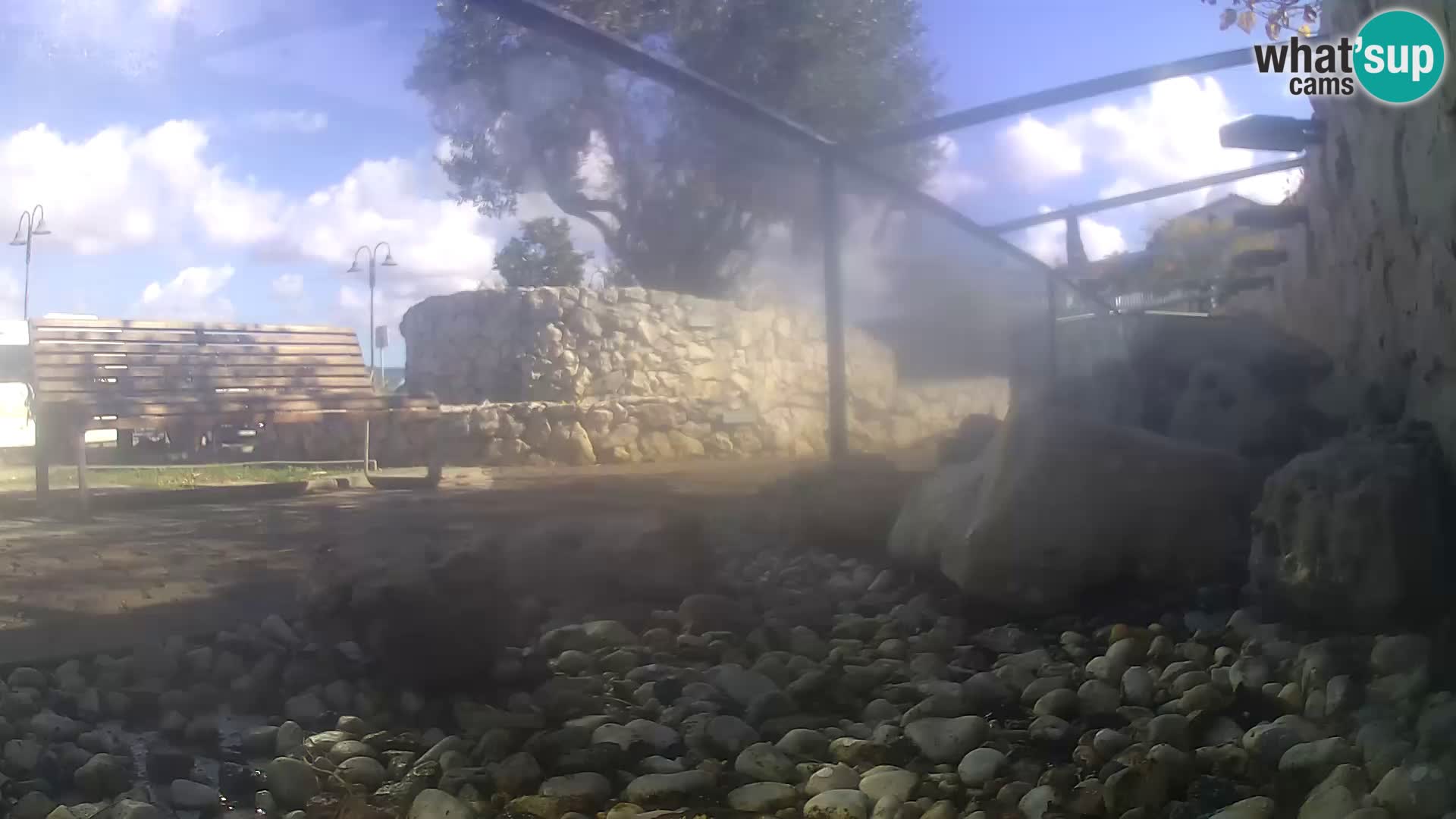 Webcam de l’aquarium marin extérieur de Rogoznica Croatie