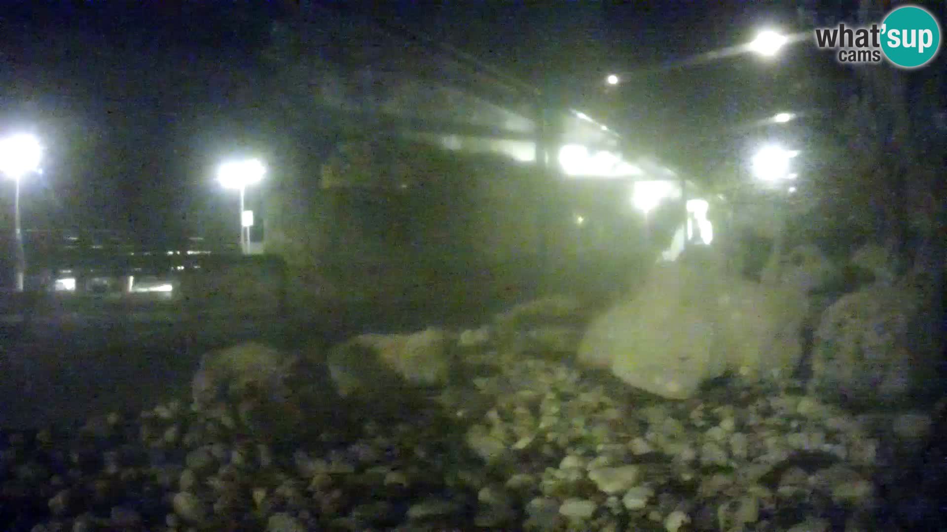 Aquario marino esterno –  Rogoznica livecam Croazia