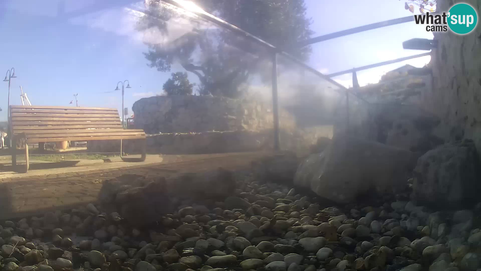 Outdoor Marine Aquarium Rogoznica webcam Croatia