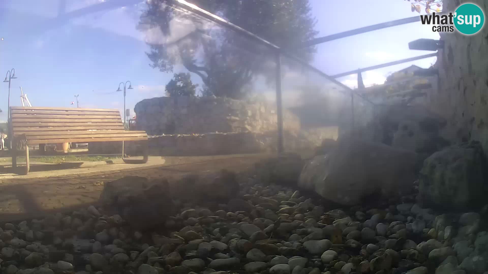 Outdoor Marine Aquarium Rogoznica webcam Croatia