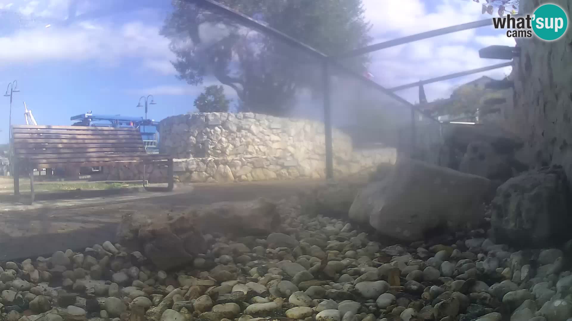 Webcam de l’aquarium marin extérieur de Rogoznica Croatie