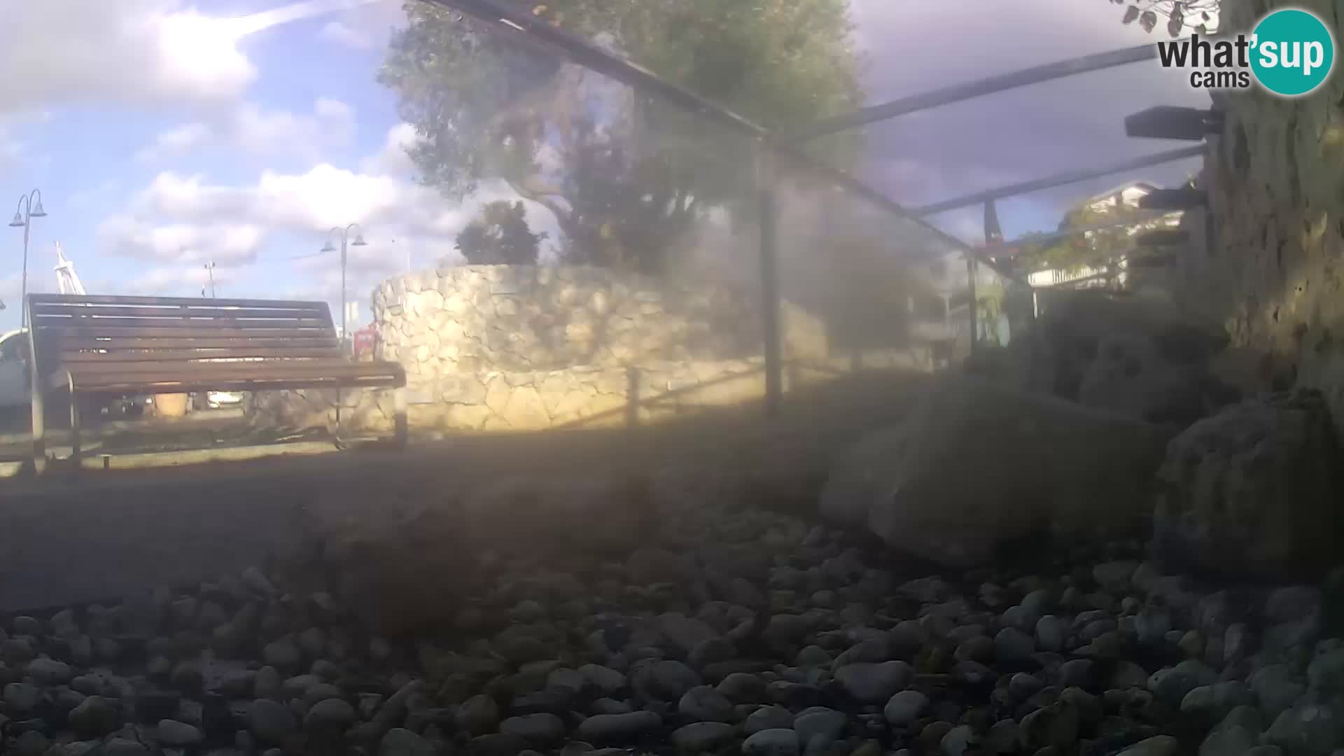 Aquario marino esterno –  Rogoznica livecam Croazia