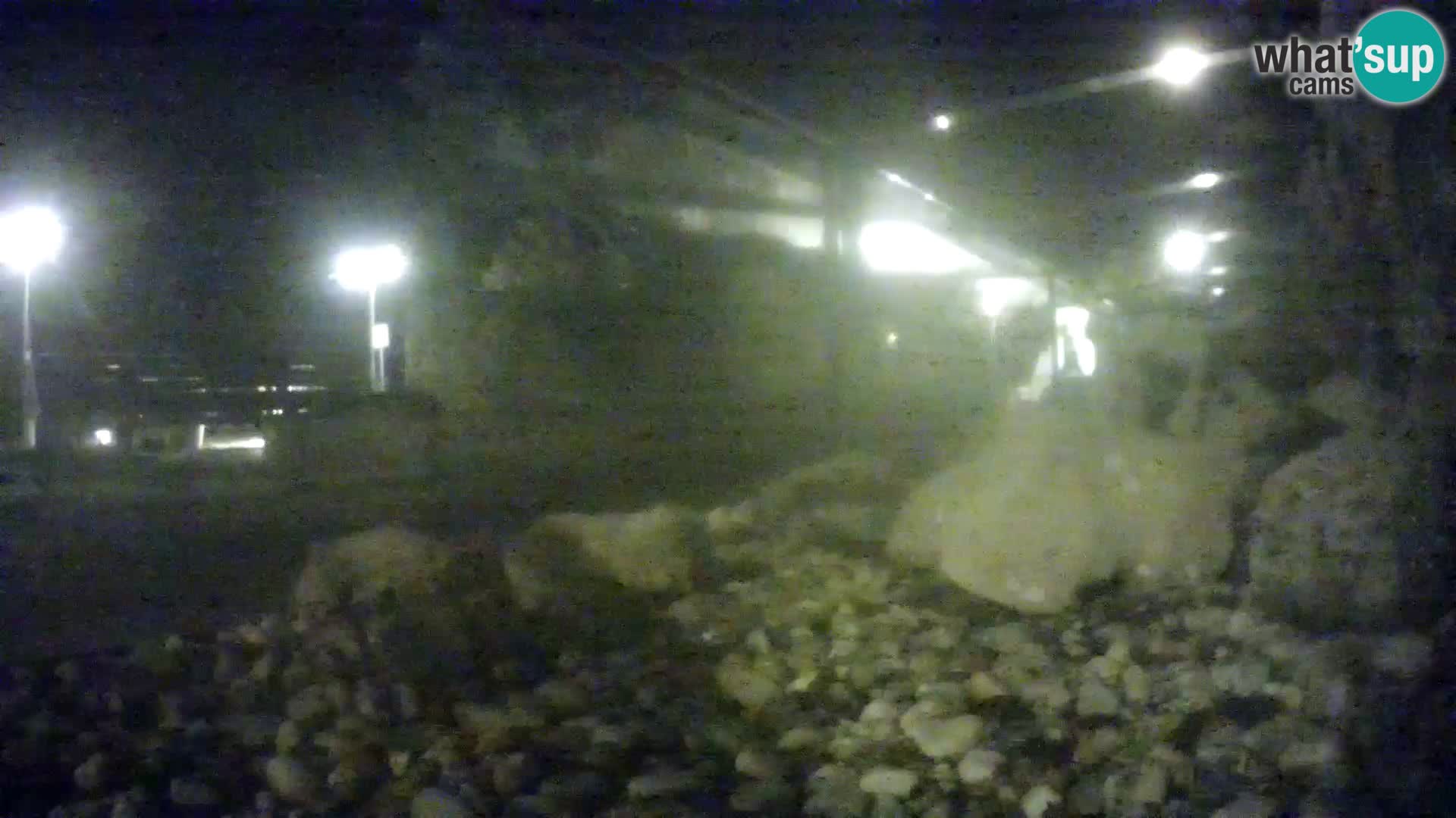 Aquario marino esterno –  Rogoznica livecam Croazia