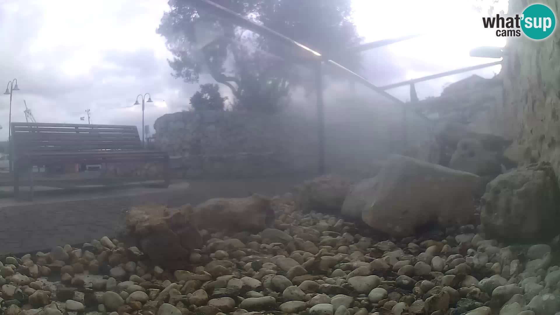 Aquario marino esterno –  Rogoznica livecam Croazia