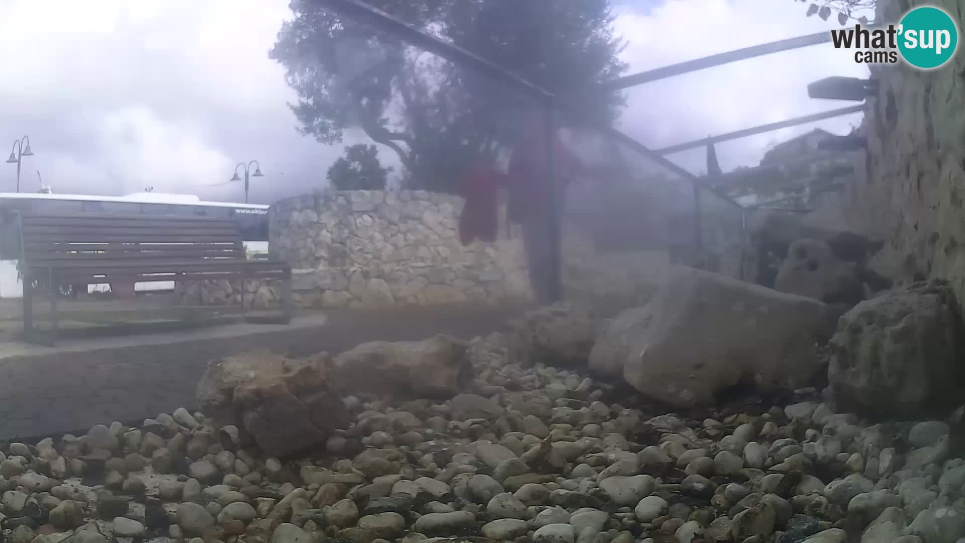 Aquario marino esterno –  Rogoznica livecam Croazia