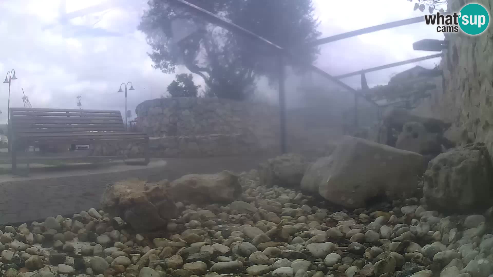 Aquario marino esterno –  Rogoznica livecam Croazia