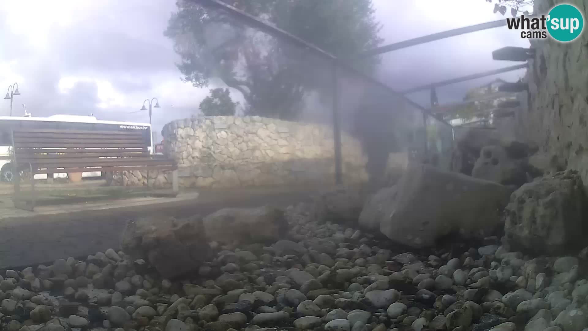 Aquario marino esterno –  Rogoznica livecam Croazia