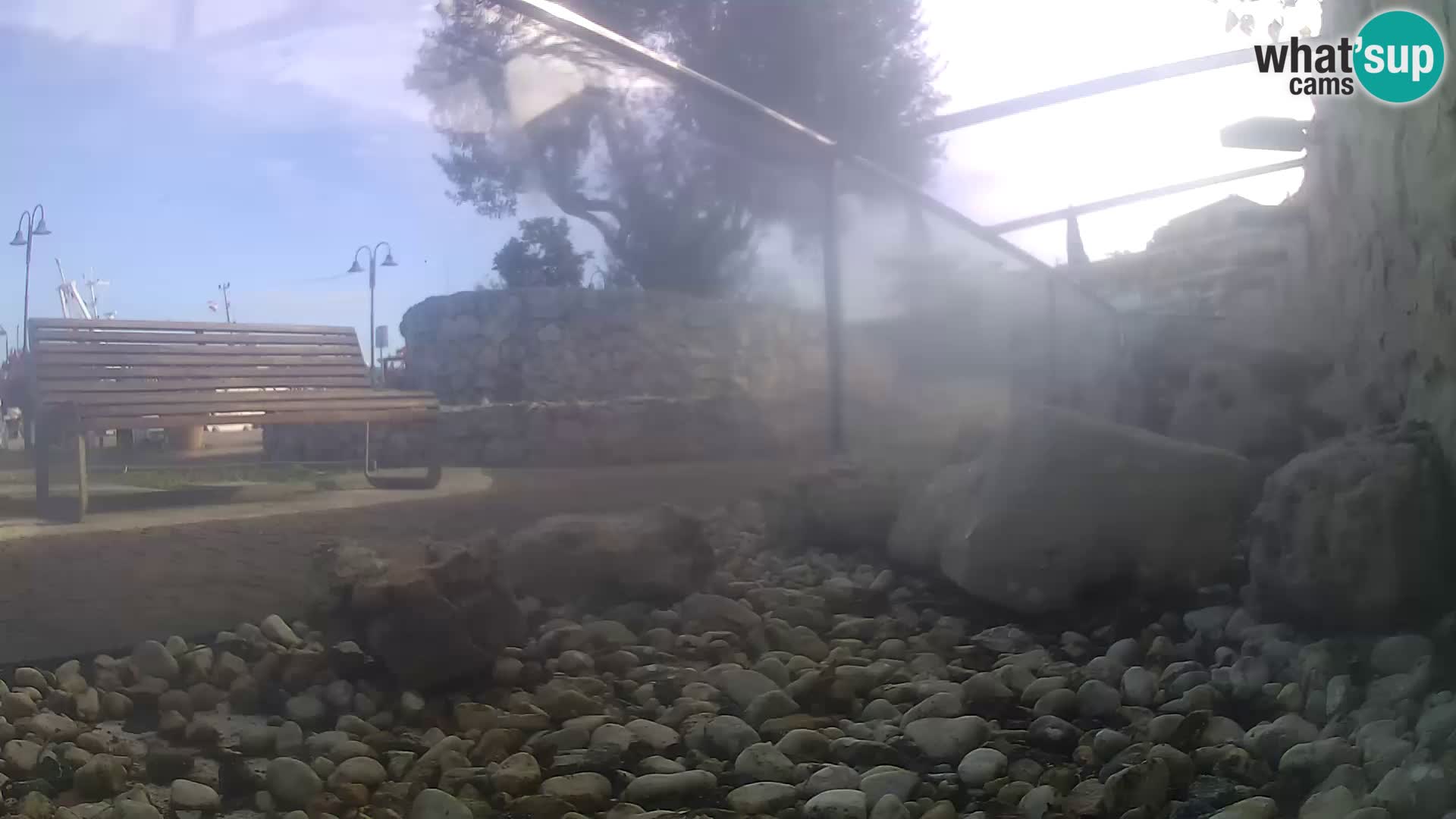 Acuario marino al aire libre Rogoznica webcam Croacia